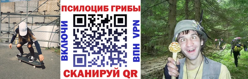 Псилоцибиновые грибы ЛСД  даркнет формула  Северская  где купить наркоту 